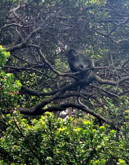 Mt.Apo : A Trek to the Highest Mountain in the Philippines - Key Points