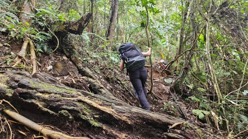 Mt.Apo : A Trek to the Highest Mountain in the Philippines - Health and Safety Guidelines
