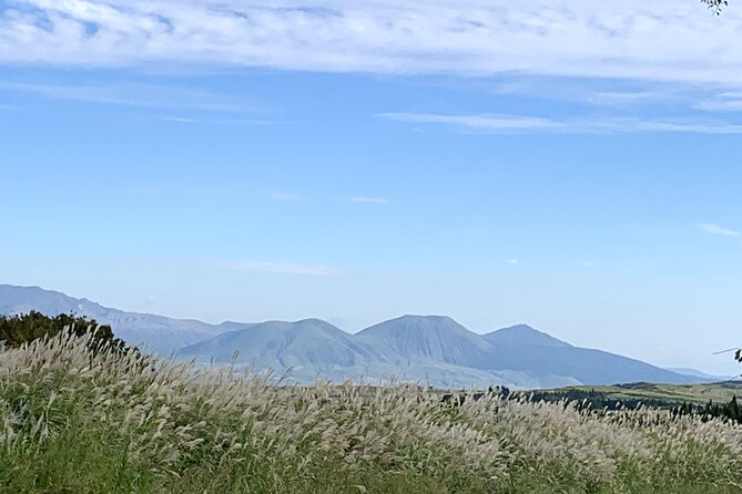 Mt. Aso and Kumamoto Castle Shared Bus Tour From Fukuoka - Meals and Drinks