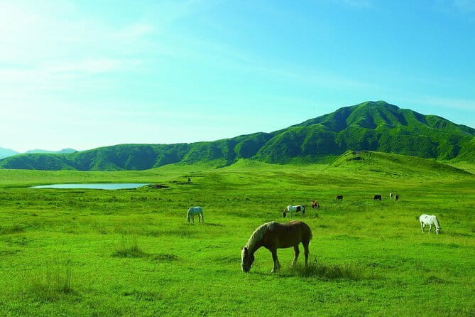 Mt. Aso and Takachiho Gorge 1 Day Highlights Tour From Kumamoto - Exploring Takachiho Gorge