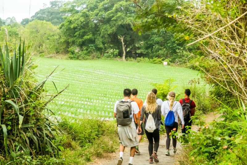 Mt. Batur Sunrise Hike With 1-Night Stay in Kintamani - Itinerary and Highlights
