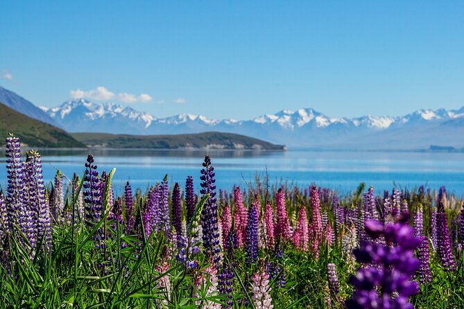 Mt Cook and Lake Tekapo Small Group Tour From Christchurch - Highlights of the Day