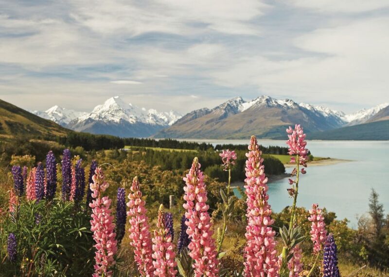 Mt. Cook Day-Tour: Christchurch to Queenstown - Included Services