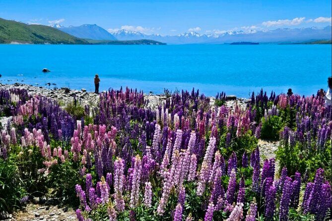 Mt. Cook Private Day Trip From Queenstown with Lake Tekapo - FAQ