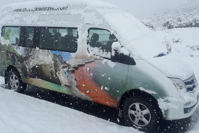 Mt Cook Small Group Tour From Queenstown With Optional Activities - Getting There and Back