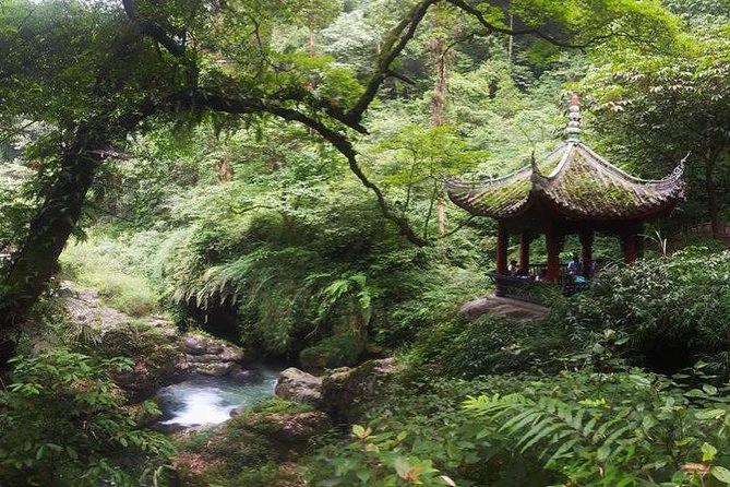 Mt Emei 1 Day Tour - Exploring Wannian Temple