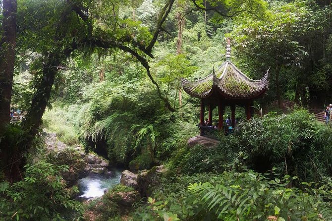 Mt Emei and Giant Buddha 2 Days Tour - Exploring Mount Emei