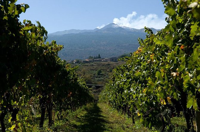 Mt Etna and Wine Tasting Tour From Catania - Key Details