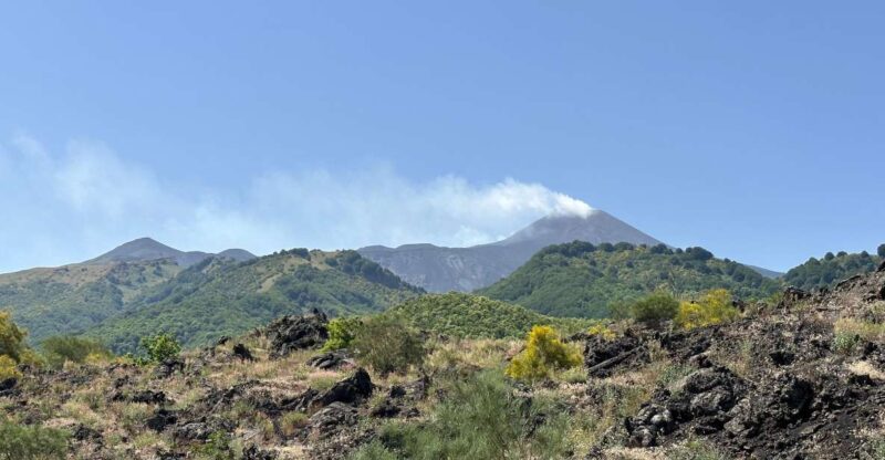 Mt. Etna: Half Day Morning or Sunset Tour in 4x4 - Key Points