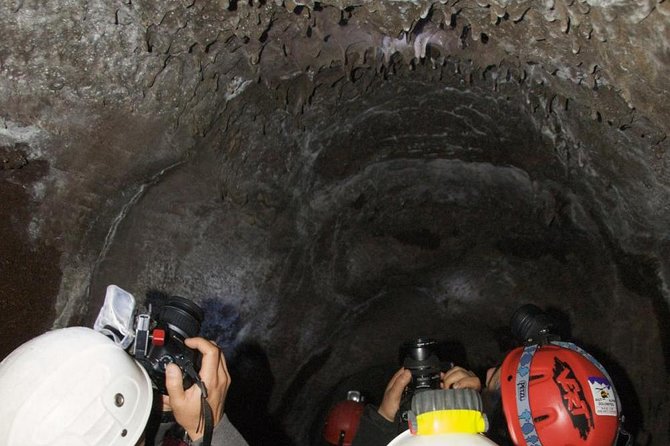 Mt. Etna Nature and Flavors Half Day Tour From Catania - Reviews