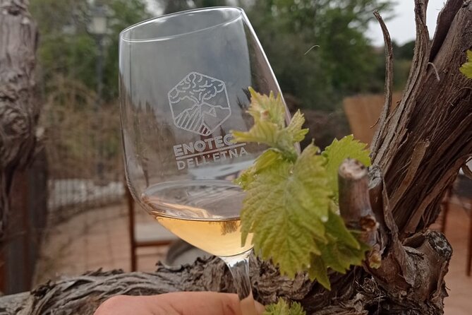Mt. Etna Trekking and Wine Tasting - From Syracuse - Cancellation Policy