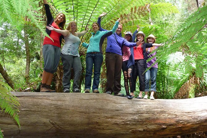 Mt Field, Mt Wellington & Tassie Devils Active Tour From Hobart - Witnessing Tasmanian Devil Feeding