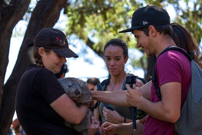 Mt Field, Mt Wellington & Tassie Devils Active Tour From Hobart - Fitness Level and Age Requirement