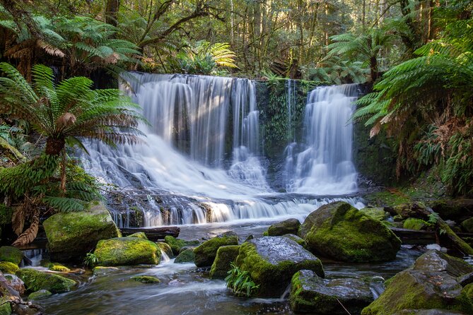 Mt Field National Park and Russell Falls From Hobart - Meeting and Pickup