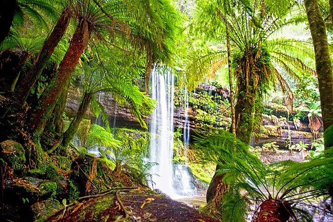 Mt Field National Park and Russell Falls From Hobart - Scenery and Rainforest