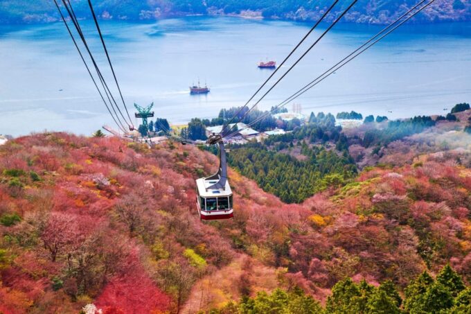 Mt. Fuji: 1-Day Tour With an English Speaking Driver - Customizing Your Mount Fuji Adventure