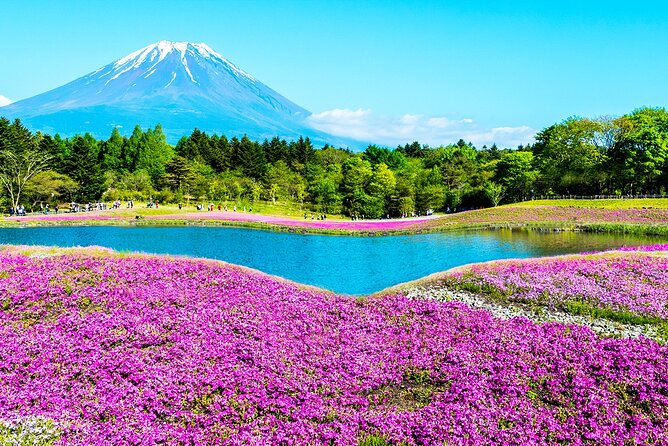 Mt. Fuji 5th, Oshino Hakkai, Onsen Full-Day Trip From Tokyo - Weather and Itinerary Adjustments