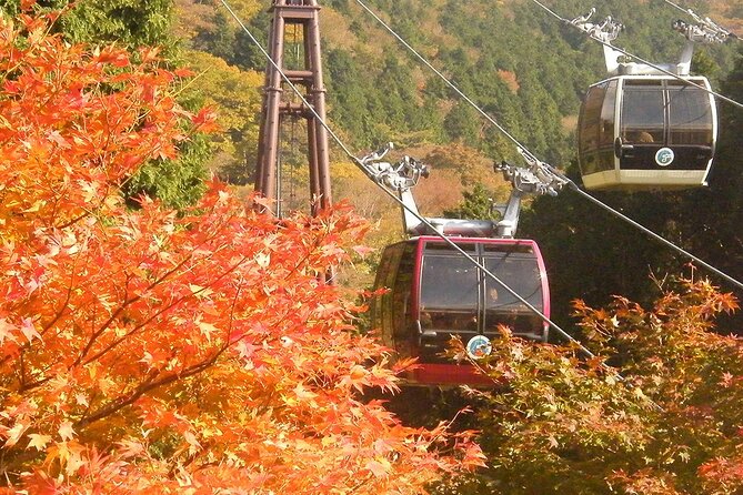 Mt. Fuji 5th Station and Hakone Day Tour From Tokyo - Visit to Mount Fuji