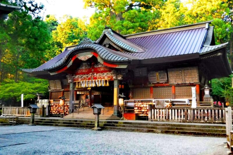 Mt. Fuji 5th Station Climbing, and Ancient Temple 1-Day Tour - Important Information