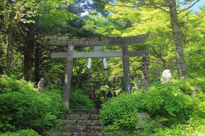 Mt. Fuji 5th Station Climbing, and Ancient Temple 1-Day Tour - Frequently Asked Questions
