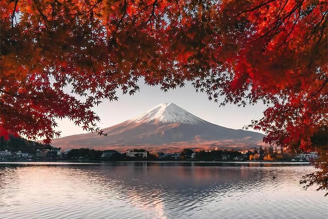 Mt. Fuji 5th Station Day Tour and Matcha Making in Tokyo - Transportation and Meeting Point