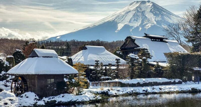 Mt. Fuji 6 Scenic Day Tour: Kawaguchiko & Lake Yamanaka - A Deep Dive into the Journey