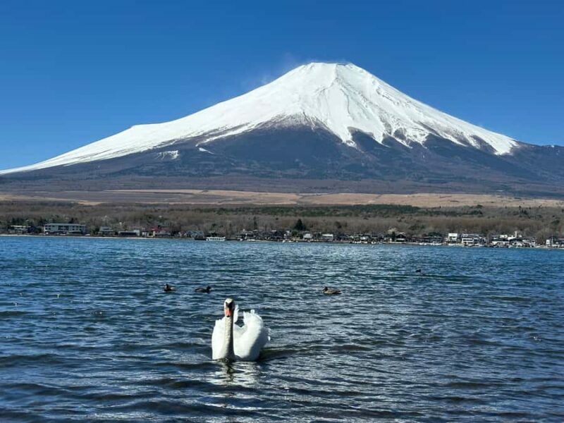 Mt. Fuji 6 Scenic Day Tour: Kawaguchiko & Lake Yamanaka - FAQs