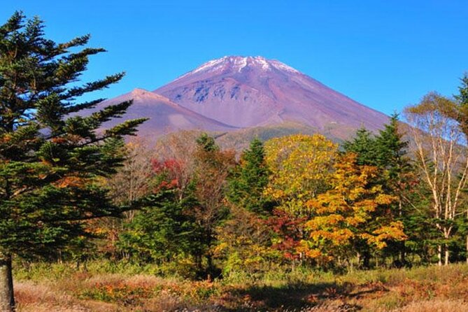 Mt. Fuji and Hakone 1-Day Bus Tour [Return W/ Shinkansen] - Participation and Accessibility