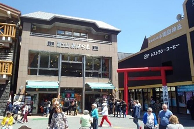 Mt. Fuji and Hakone 1-Day Bus Tour [Return W/ Shinkansen] - Tour Conditions and Cancellations