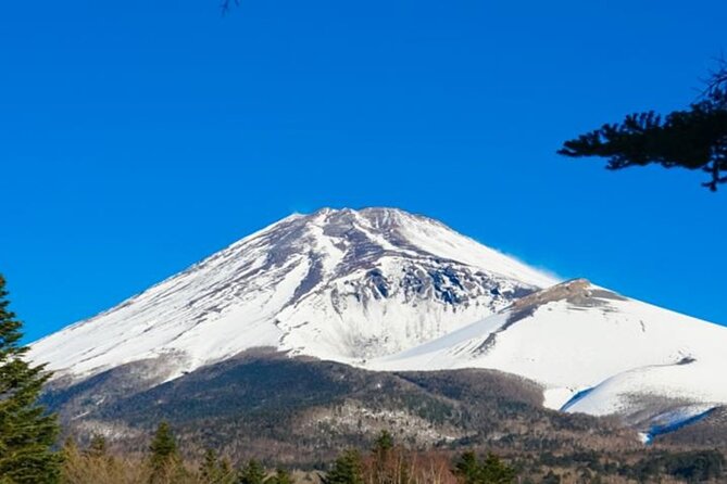 Mt. Fuji and Hakone 1-Day Bus Tour [Return W/ Shinkansen] - Tour Itinerary