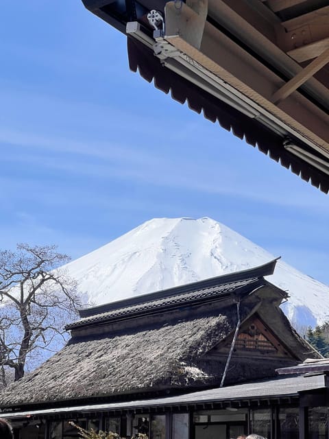 Mt. Fuji and Hakone Day Trip With Private Vehicle and Guide - Itinerary Highlights