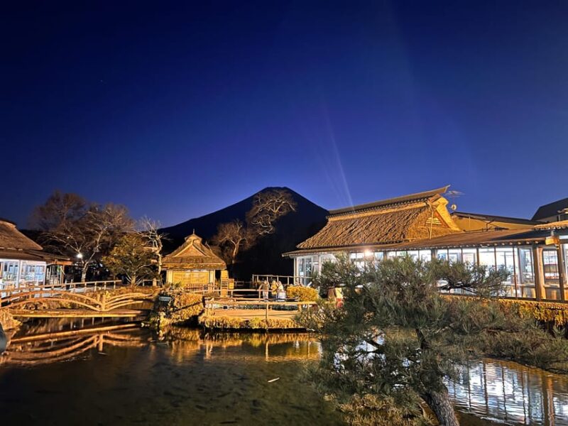 Mt. Fuji and Hakone Day Trip With Private Vehicle and Guide - Scenic Boat Ride on Lake Ashi