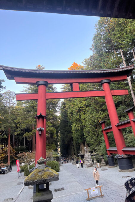 Mt. Fuji and Hakone Day Trip With Private Vehicle and Guide - Inclusions, Transportation, and Important Information