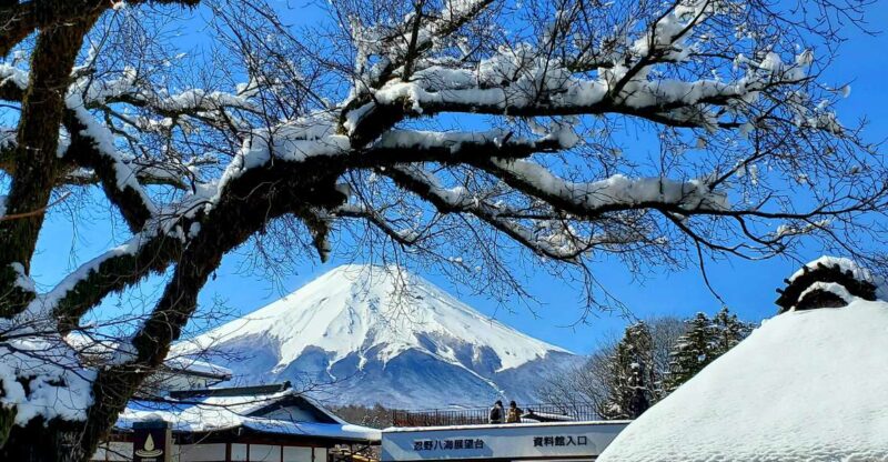 Mt. Fuji and Hakone: Full Day Private Tour W English Guide - Tour Overview
