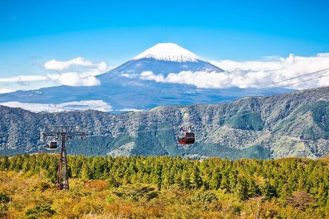 Mt. Fuji and Hakone Full Day Tour With English Speaking Driver - Pickup and Dropoff