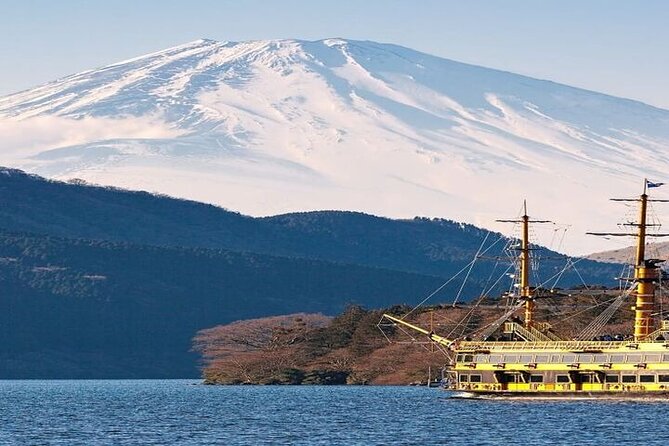Mt. Fuji and Hakone Full Day Tour With English Speaking Driver - Pricing