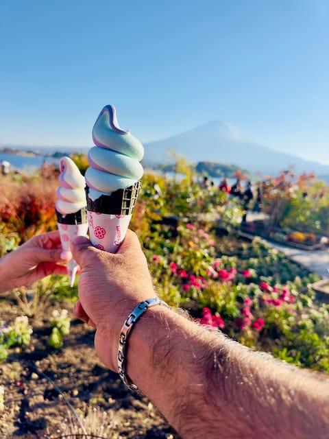 Mt. Fuji and Hakone Lake Ashi Day Tour With Pickup & Dropoff - Tour Exclusions