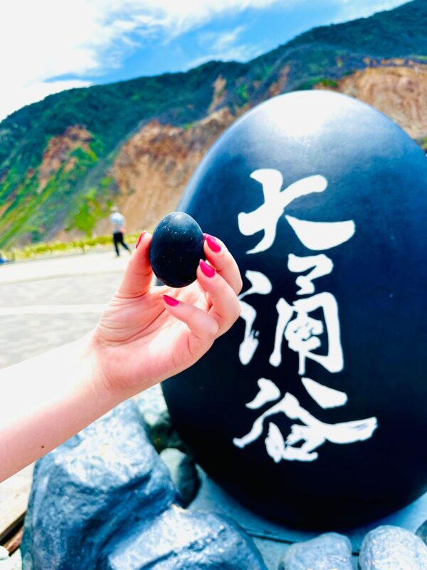 Mt. Fuji and Hakone Lake Ashi One Day Private Tour - Chureito Pagoda