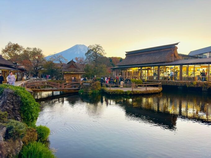 Mt. Fuji and Hakone Lake Ashi One Day Private Tour - Lake Ashi
