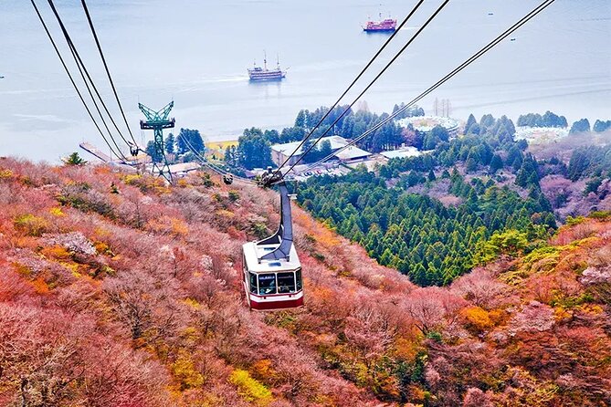 Mt. Fuji and Hakone Land Sea Air Tour With Free Skycar From Tokyo - Booking and Pricing