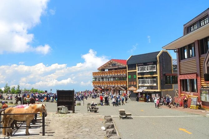 Mt Fuji and Hakone One Day Tour Departure From Tokyo With Lunch - Meeting and Departure Information