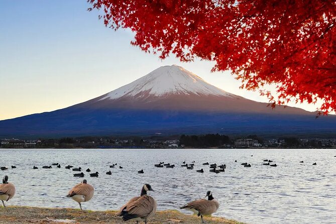 Mt Fuji and Hakone One Day Tour Departure From Tokyo With Lunch - Cancellation and Weather Policy