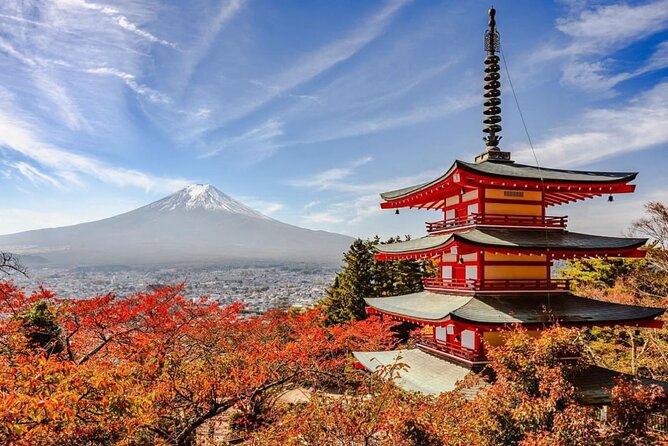 Mt Fuji and Hakone Private Day Tour With English Speaking Driver - Accessibility and Amenities