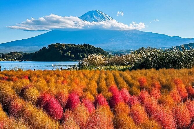 Mt Fuji and Hakone Private Day Tour With English Speaking Driver - Tour Highlights