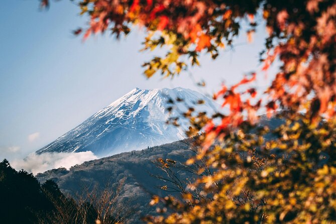 Mt. Fuji and Hakone Private Day Tour With English Speaking Guide - Key Points