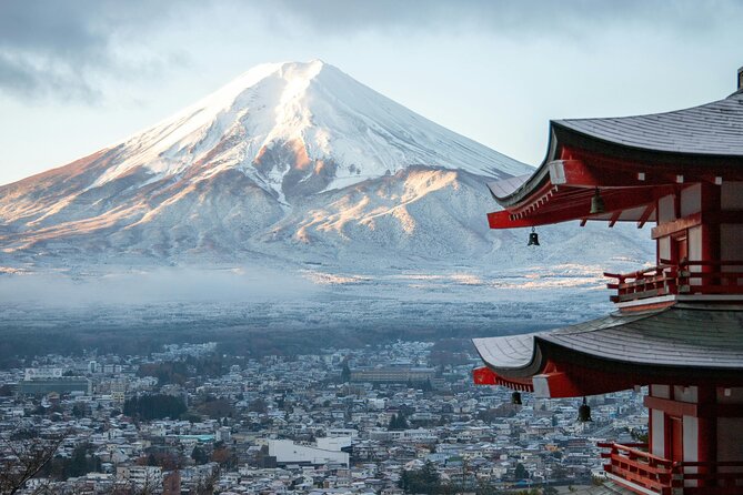 Mt. Fuji and Hakone Private Day Tour With English Speaking Guide - Pickup and Drop-off Services