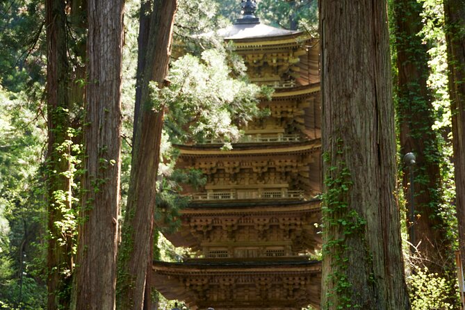 Mt. Fuji and Hakone Private Day Tour With English Speaking Guide - Experience and Accessibility