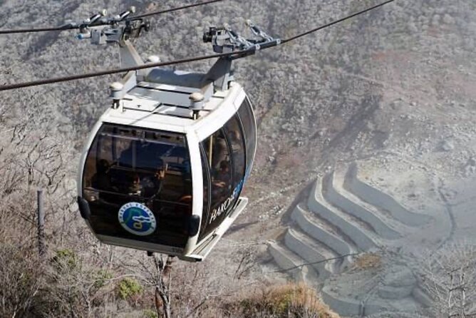 MT Fuji and Hakone Private Group Tour (Upto 9 Persons) by Hiace - Cancellation Policy