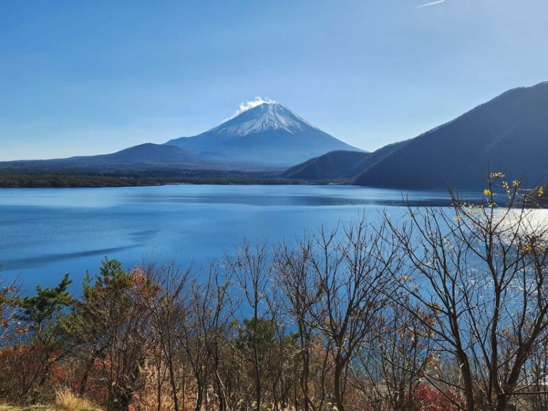 Mt Fuji and Hakone Private Tour With English Speaking Driver - Cultural Significance of Mt. Fuji
