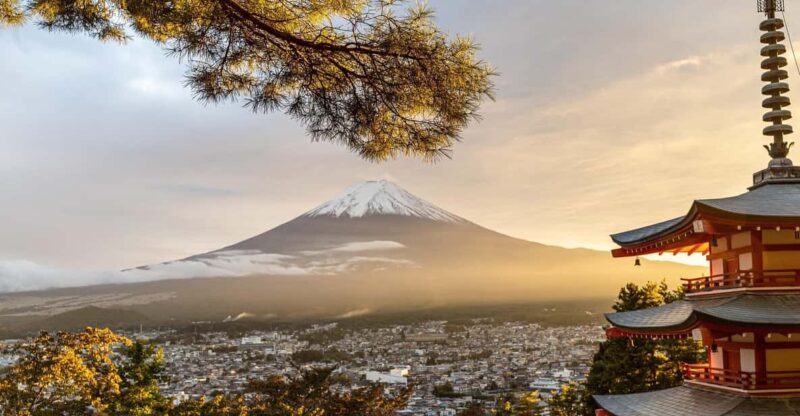 Mt Fuji and Hakone-Private Tour With English Speaking Driver - Booking and Cancellation Policy